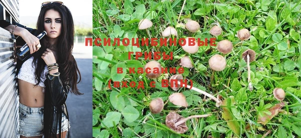 герыч Лагань