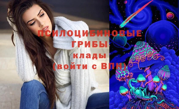мескалин Лабытнанги